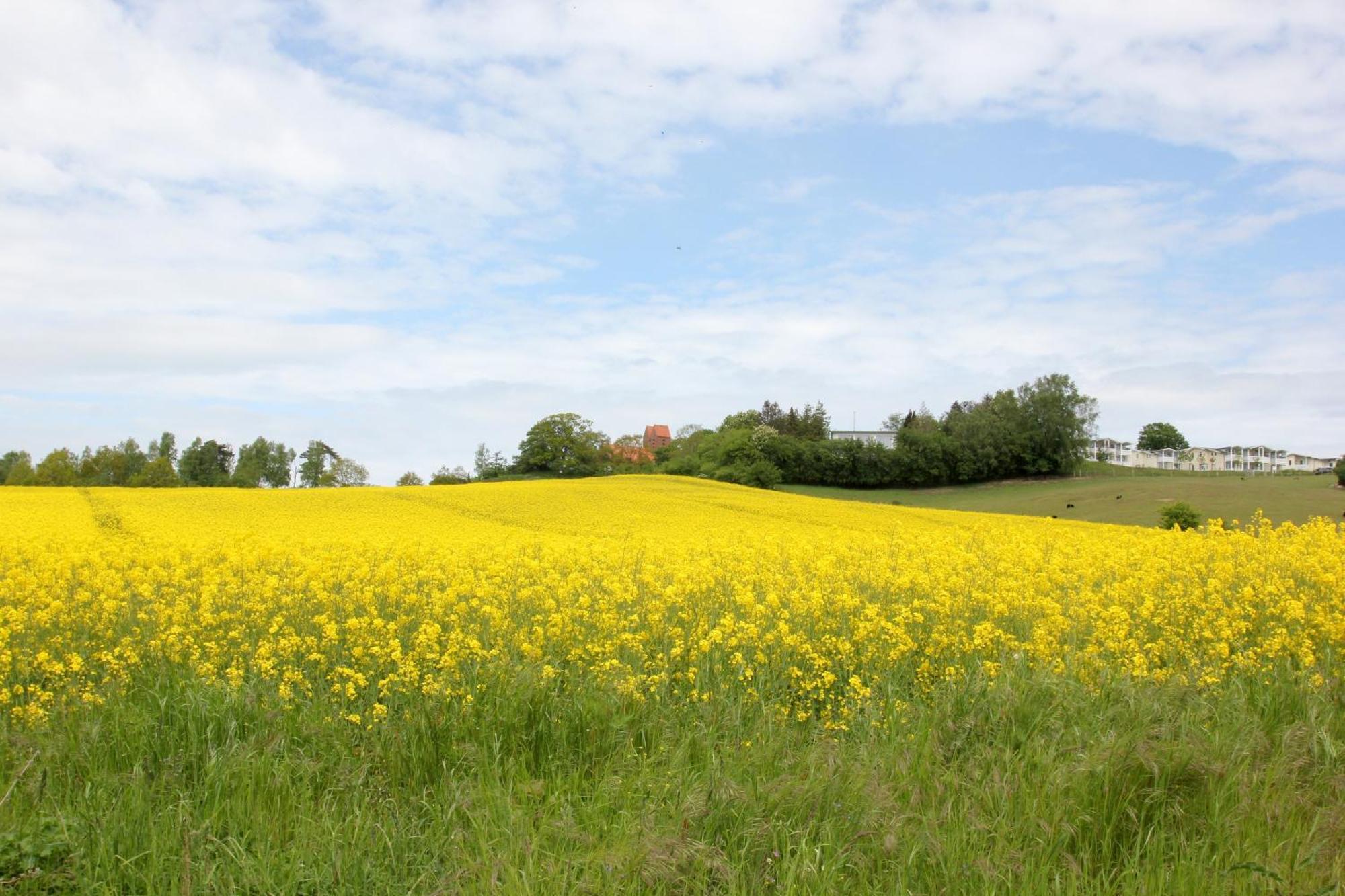 Mit Meerblick Und Balkon, Gratis Nutzung Vom Ahoi Erlebnisbad Und Sauna In Sellin - Meeresblick Fewo 14 Goehren  Kültér fotó